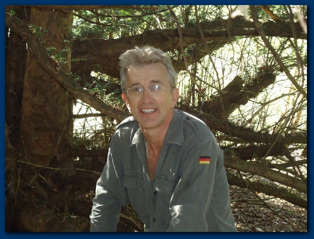 600x449 pixels (155K)